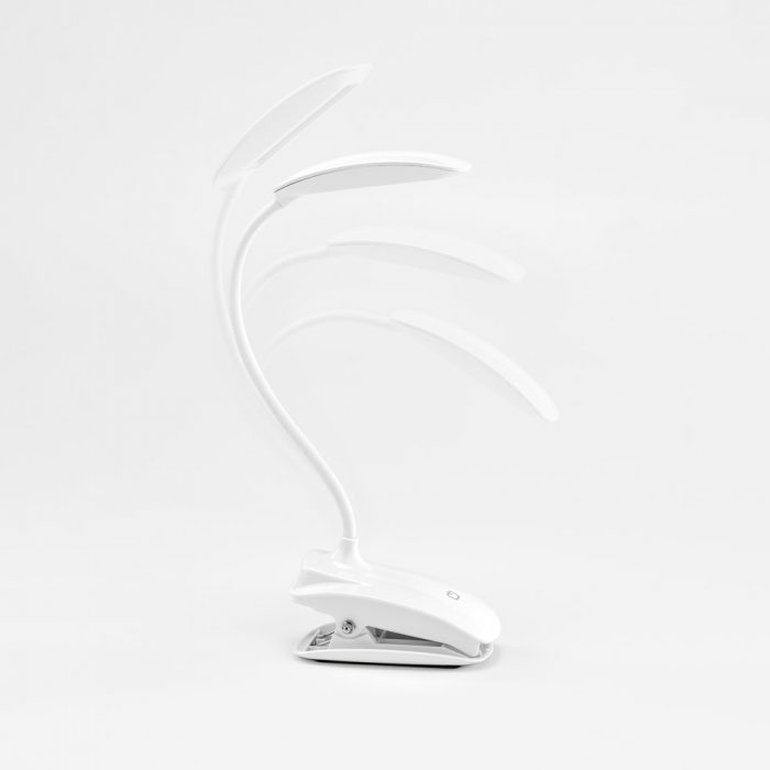 54743 - Image 4